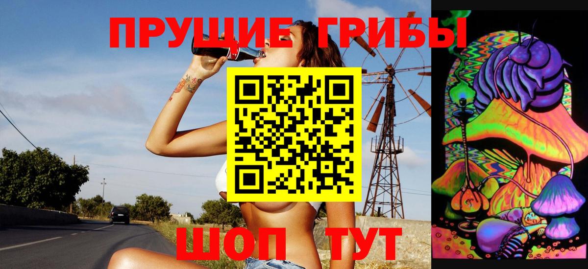 Галлюциногенные грибы Psilocybe  Вход с VPN  Междуреченск  Галлюциногенные грибы GOLDEN TEACHER 