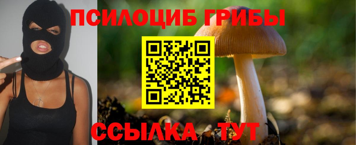 Галлюциногенные грибы прущие грибы Междуреченск